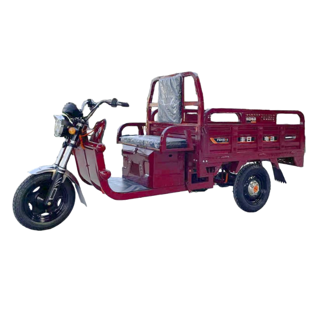Triciclo elétrico de carga Fengri com galpão simples