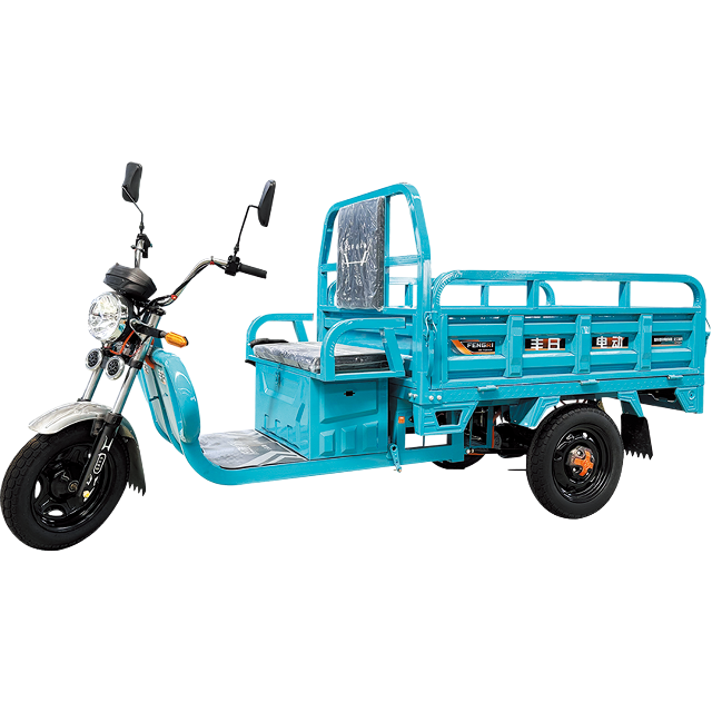 Triciclo elétrico de carga tipo plano Dragon Series com preço barato