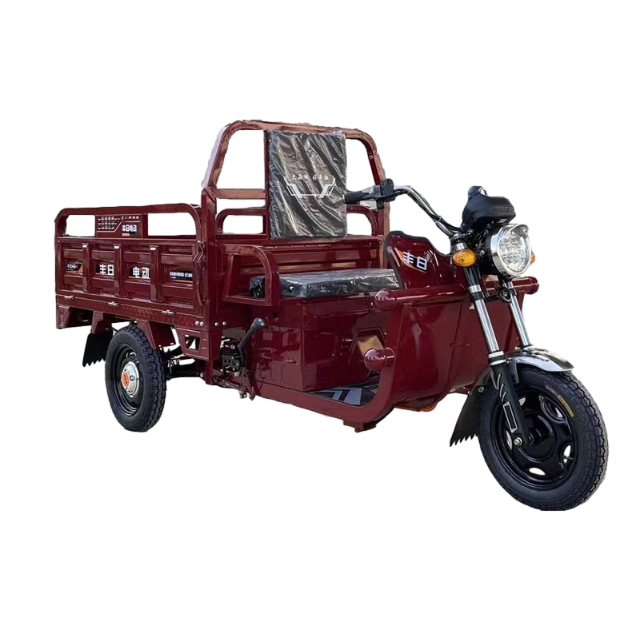Triciclo elétrico de passageiros Fengri com bateria de lítio de bateria de chumbo-ácido