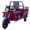 Triciclo elétrico de passageiros Fengri com bateria de lítio de bateria de chumbo-ácido