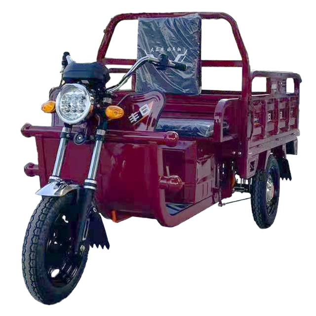 Triciclo elétrico de carga Fengri com galpão simples
